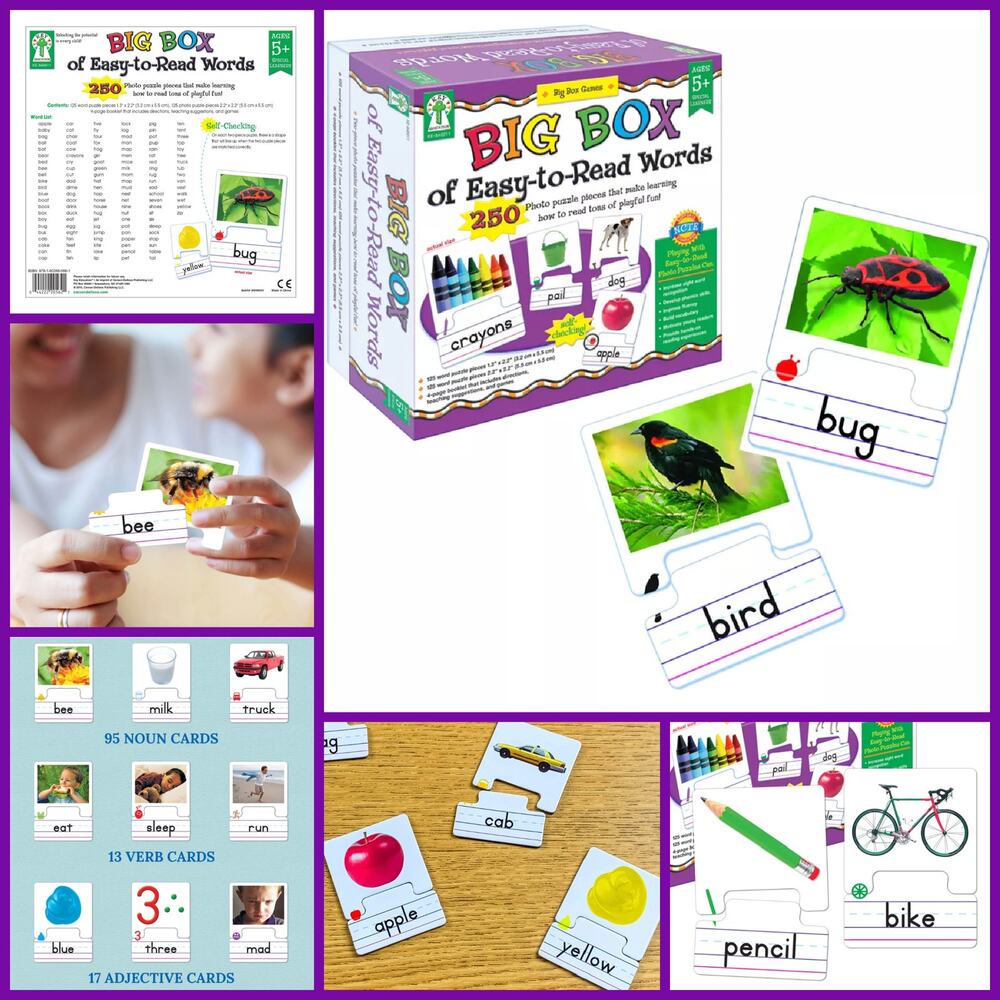 Carson Dellosa BIG BOX Easy Read Words Puzzle Learning Game Speech Therapy NEW!!